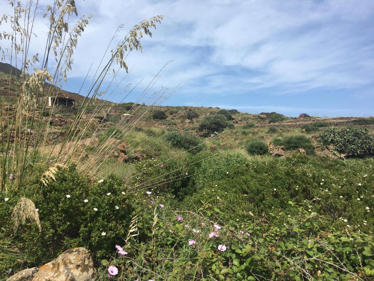 Dammusi Il Serralh -Pantelleria- Villa Scauri  Kültér fotó