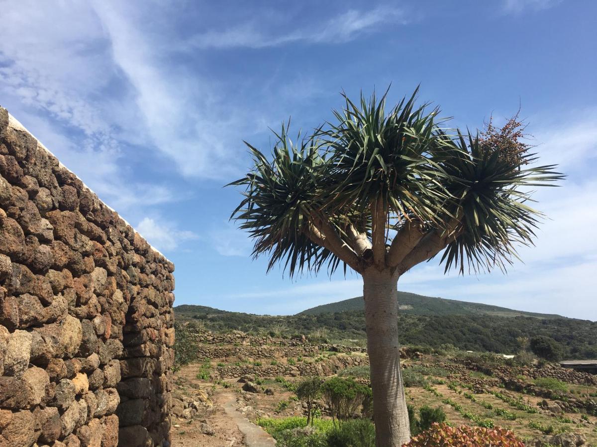 Dammusi Il Serralh -Pantelleria- Villa Scauri  Kültér fotó