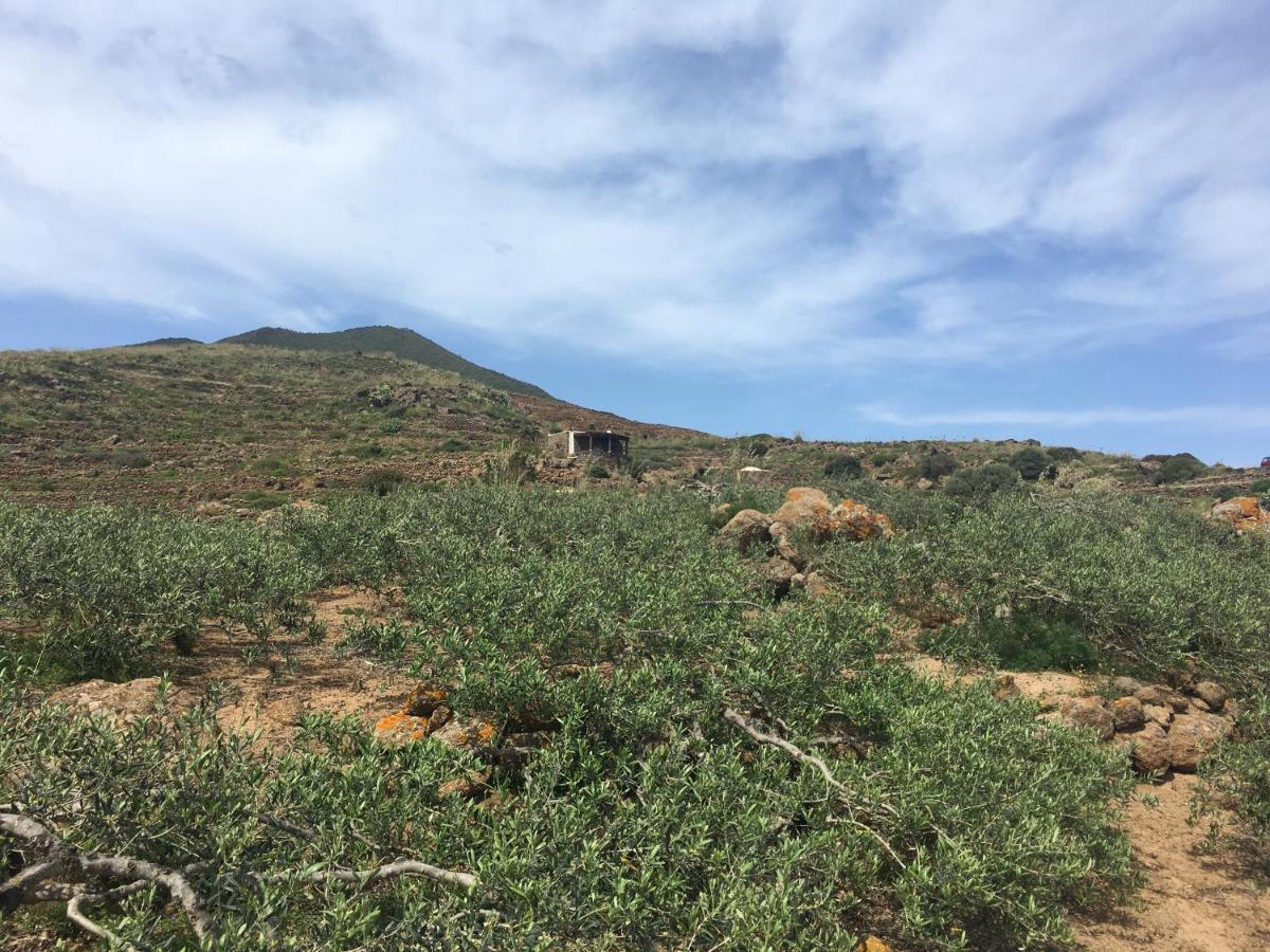 Dammusi Il Serralh -Pantelleria- Villa Scauri  Kültér fotó