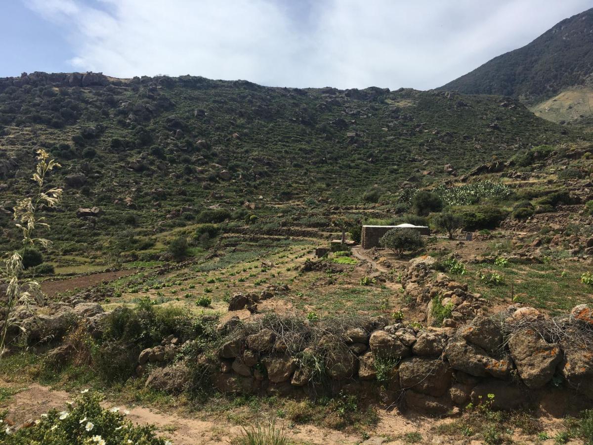 Dammusi Il Serralh -Pantelleria- Villa Scauri  Kültér fotó