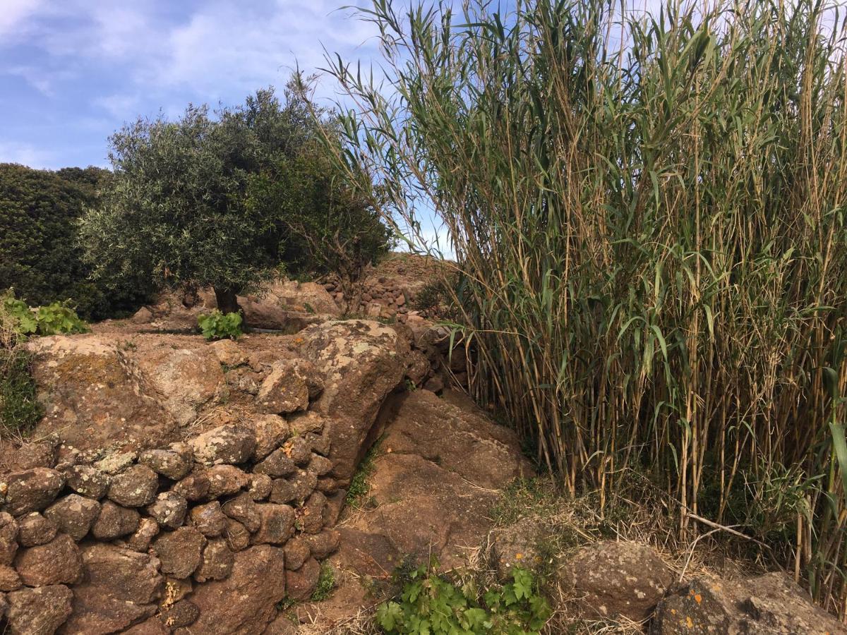 Dammusi Il Serralh -Pantelleria- Villa Scauri  Kültér fotó