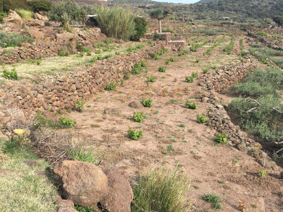 Dammusi Il Serralh -Pantelleria- Villa Scauri  Kültér fotó