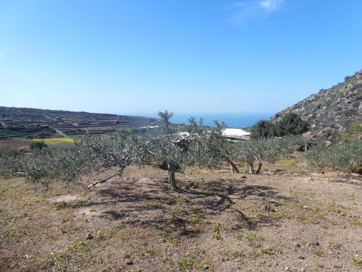 Dammusi Il Serralh -Pantelleria- Villa Scauri  Kültér fotó