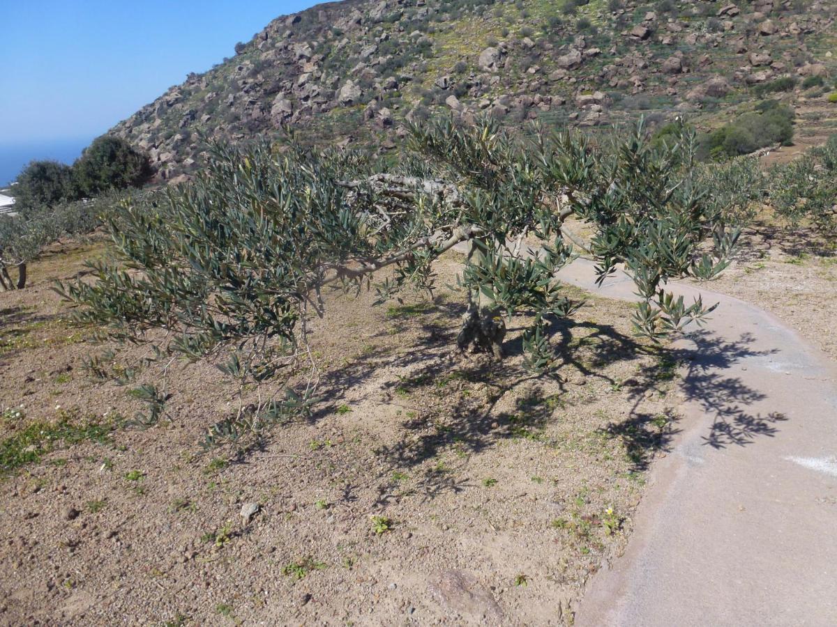 Dammusi Il Serralh -Pantelleria- Villa Scauri  Kültér fotó